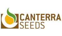 Canterra Seeds